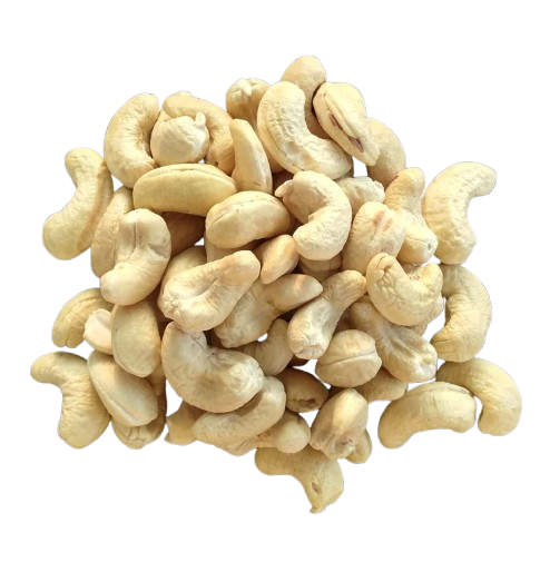 Export-ready premium cashew kernels