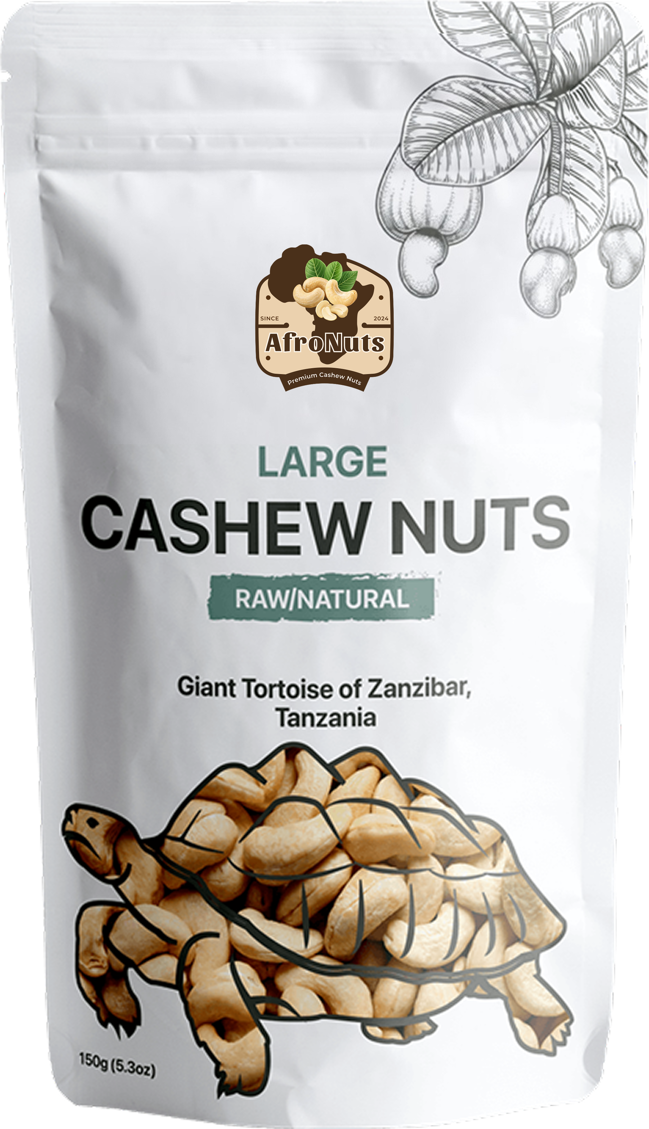 WW240 cashew kernels close-up